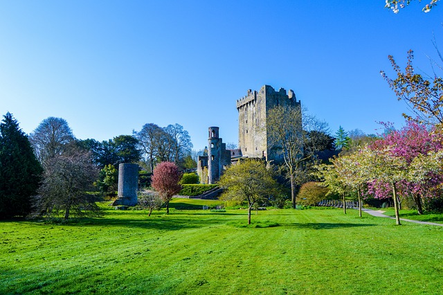 budget travel cork