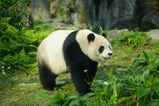 Saigon Zoo and Botanical Garden