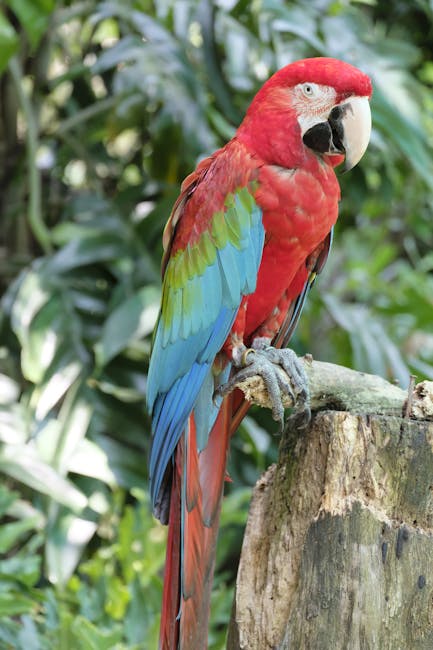 Kuala Lumpur Bird Park