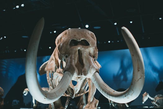 National Museum of Nature and Science