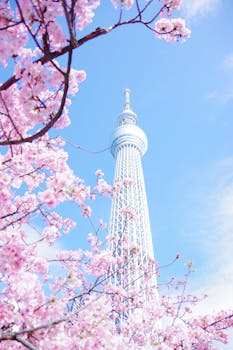 Tokyo Skytree