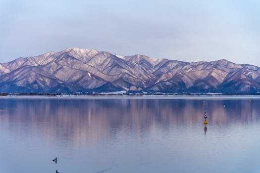 Lake Suwa