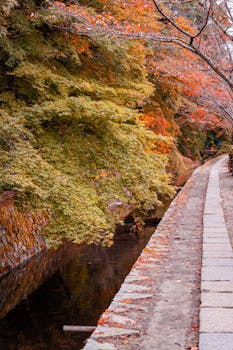 Philosopher’s Path