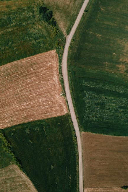 Biei Patchwork Road