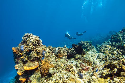Puerto Morelos Reef