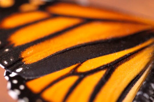 Ecocentro Danaus
