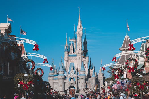 Magic Kingdom Park