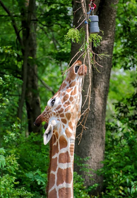 Zoo Atlanta