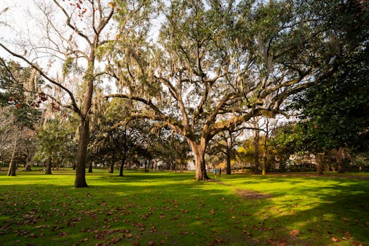 Forsyth Park