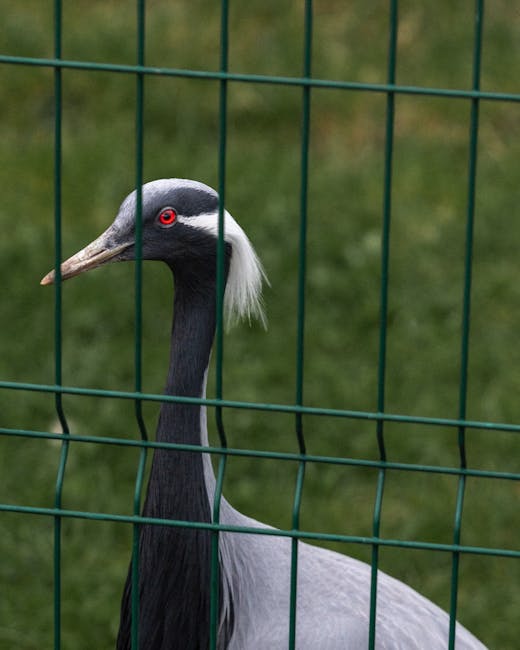Audubon Zoo