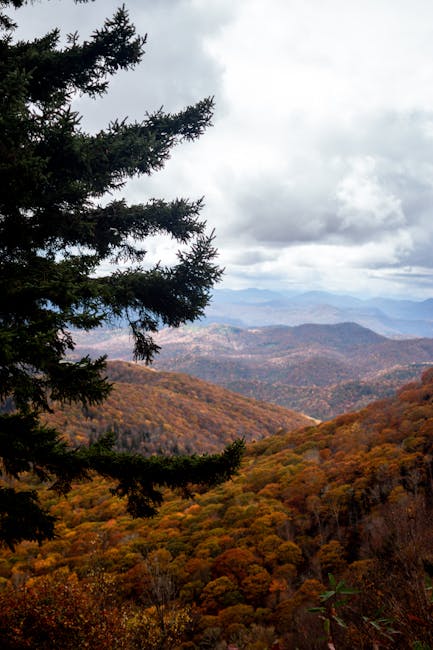 The Blue Ridge Parkway