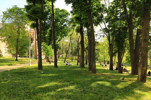 Zilker Metropolitan Park