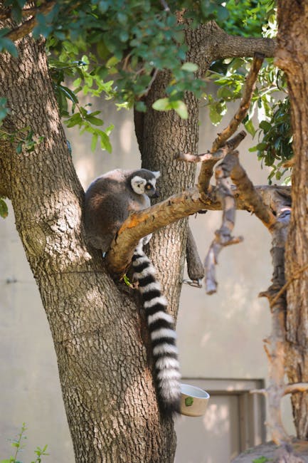 Dallas Zoo