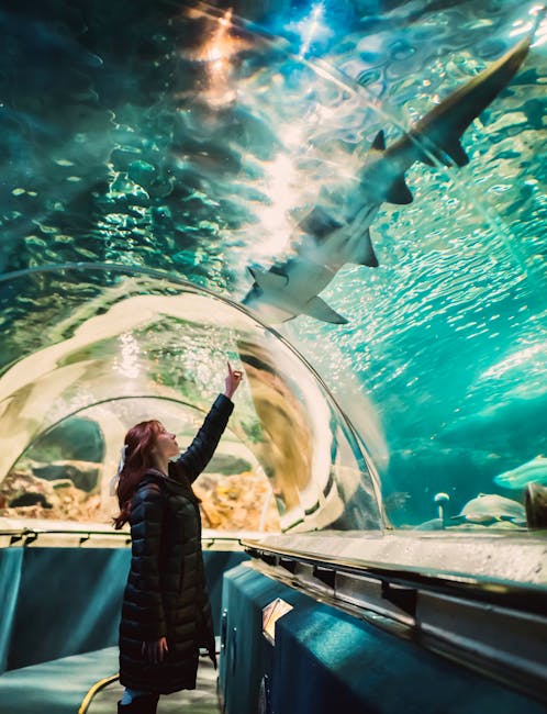 Shedd Aquarium
