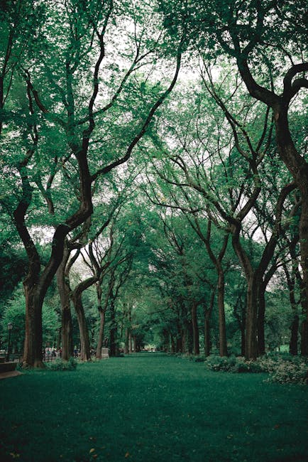 Central Park