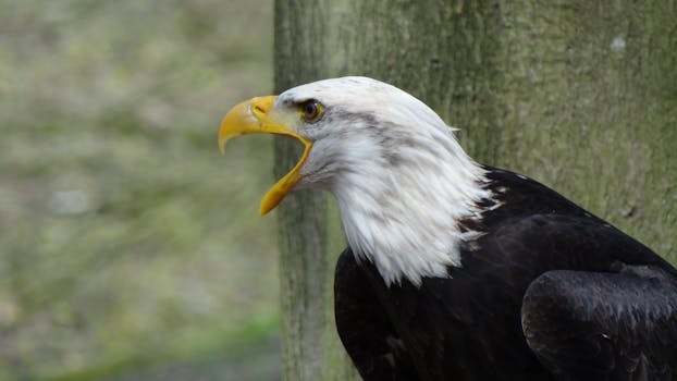 National Aviary
