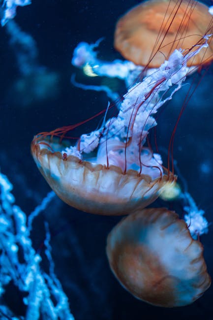 Pittsburgh Zoo & PPG Aquarium