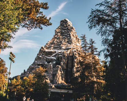Disneyland Resort