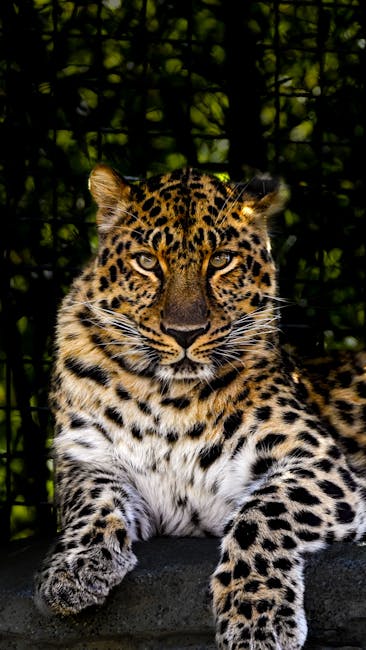 San Diego Zoo