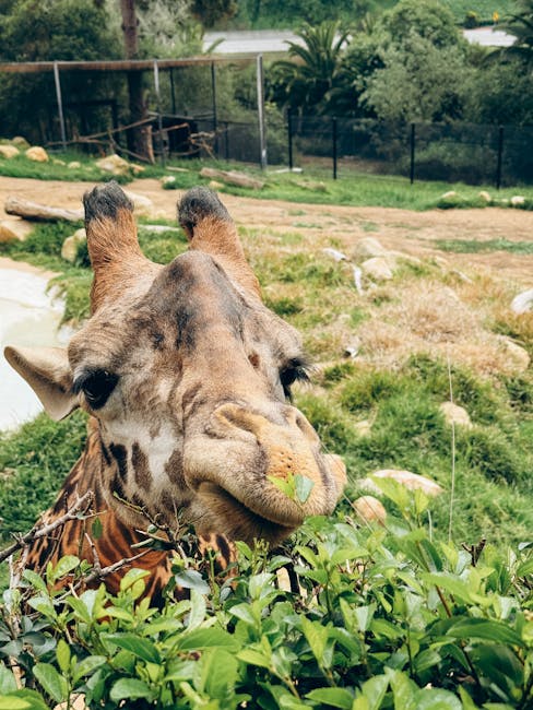 Santa Barbara Zoo