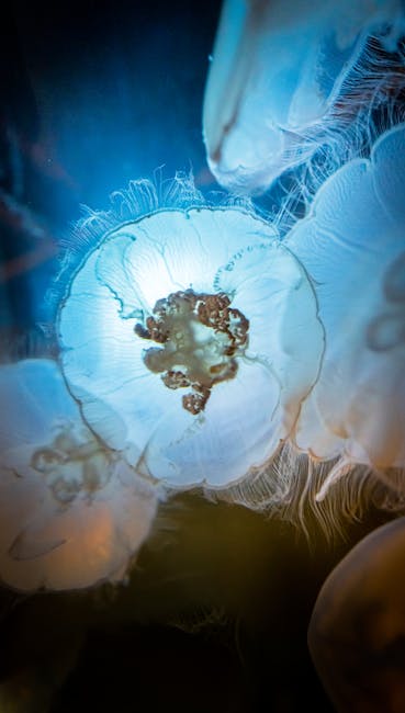 Seattle Aquarium