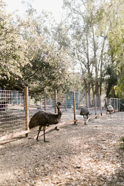 Woodland Park Zoo