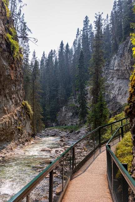 Johnston Canyon