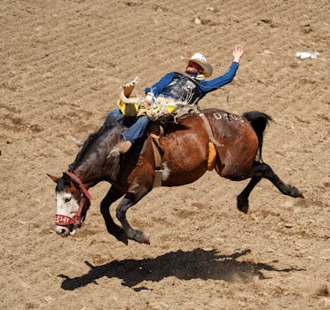 Calgary Stampede Grounds