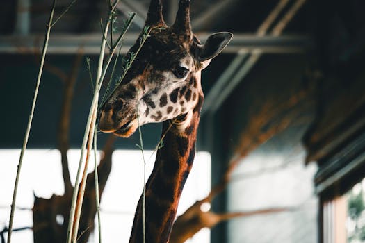 Calgary Zoo
