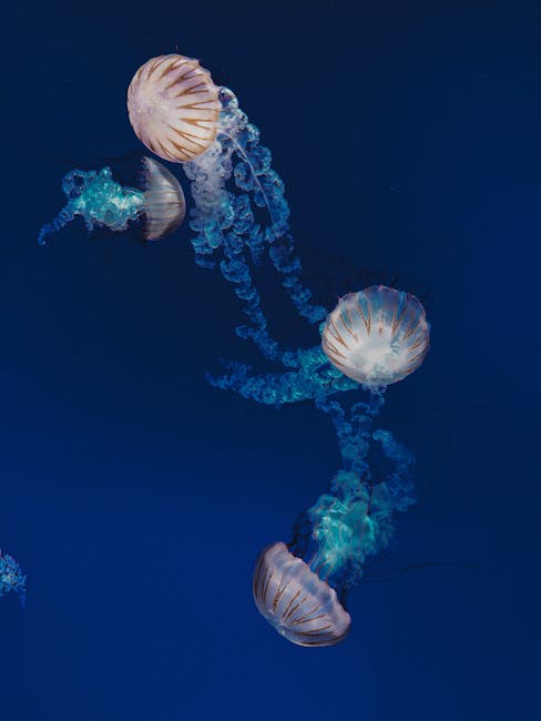 Ripley's Aquarium of Canada