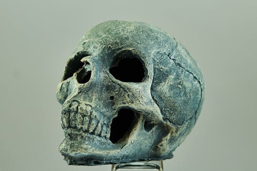 Museum of Anthropology