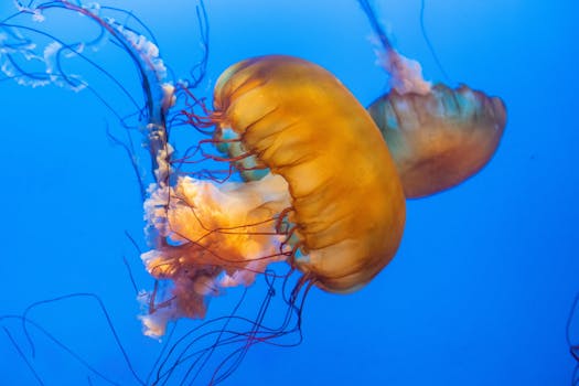 Vancouver Aquarium