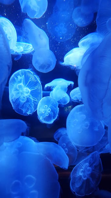 Vancouver Aquarium
