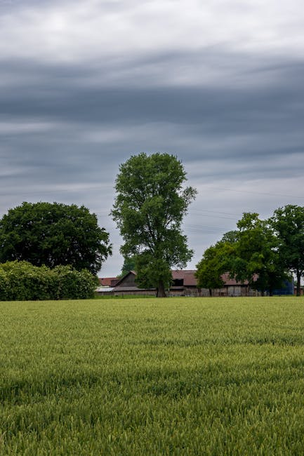 Plains of Abraham