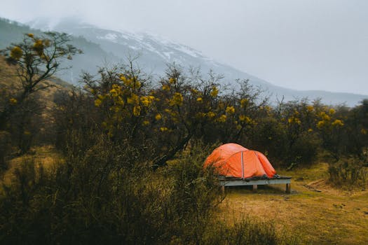 Torres del Paine National Park