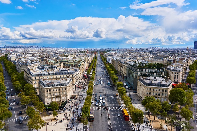 The Avenue des Champs-Elysees