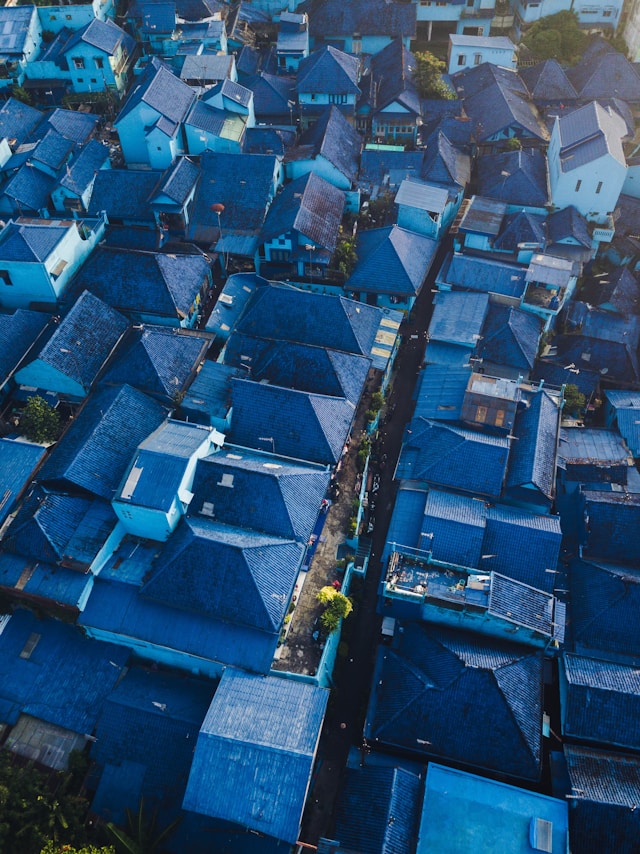 The Blue Village
