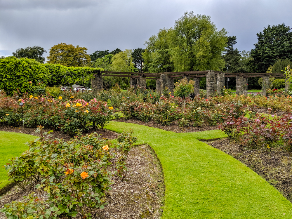 Belfast Rose Garden