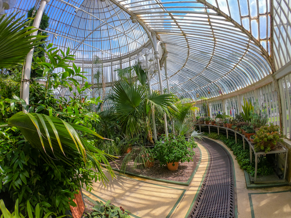 Belfast Palm House