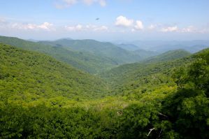 The Best Places to Stay in Black Mountain, NC for Families: Affordable AirBnBs, Cabins, & Mountain Houses