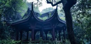 The Best Hostels in Hangzhou, China for Backpackers, Couples, and Groups