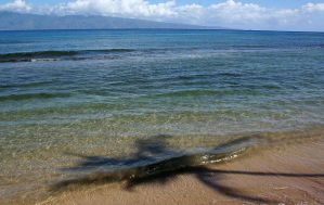 Unique Independent Hotels on Maui
