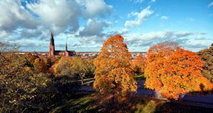 Hostels in Uppsala for Students, Backpackers, and Budget Travelers