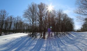 The Best Airbnb Cabins and Ski Condos in Bolton Valley, Vermont