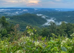 21 Best Airbnb Cabins & Mountain Houses in Boone, NC