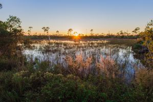 The 7 Best VRBO & Airbnb Vacation Rentals for Couples in Fort Pierce, Florida