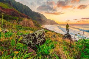 Best Airbnb and VRBO Vacation Rentals near Waialua, Oahu