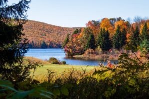 The Best Airbnb Places to Stay in Jim Thorpe, Pennsylvania in the Poconos