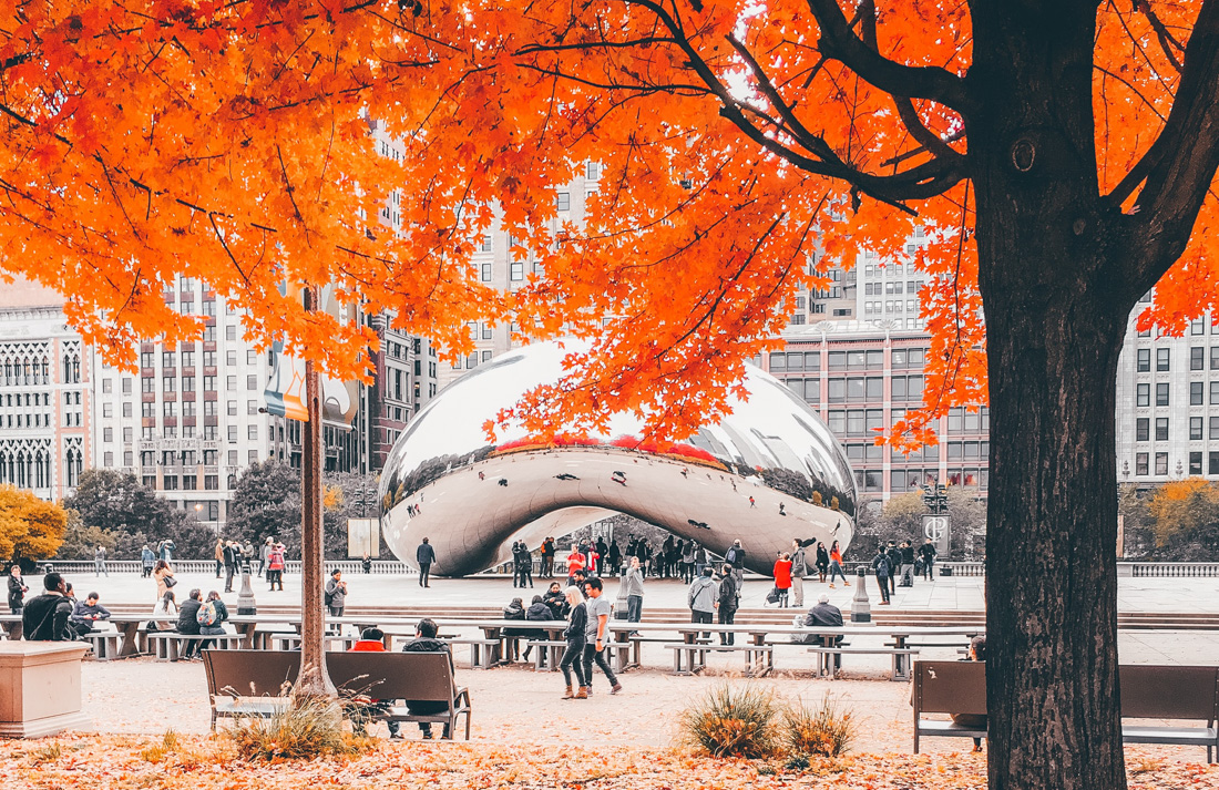 The Best Things to Do in the Fall in Chicago