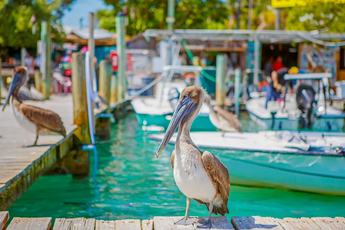 vrbo florida keys